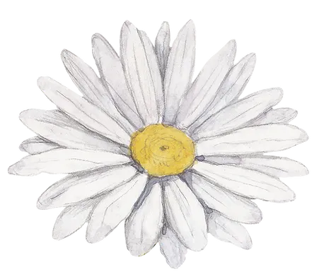 White Flower